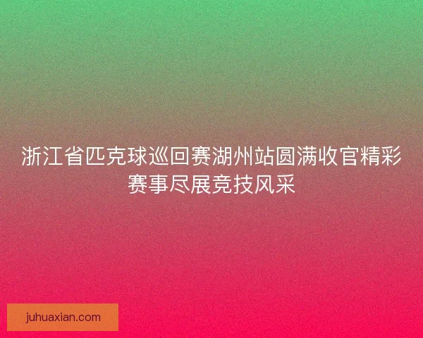 浙江省匹克球巡回赛湖州站圆满收官精彩赛事尽展竞技风采