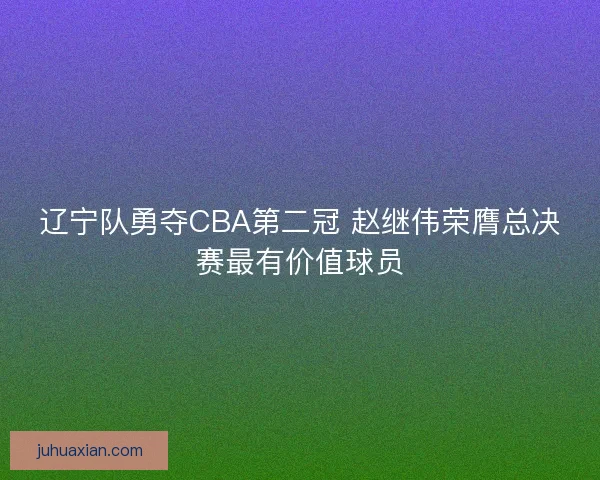 辽宁队勇夺CBA第二冠 赵继伟荣膺总决赛最有价值球员 辽宁队勇夺CBA第二冠 赵继伟荣膺总决赛最有价值球员